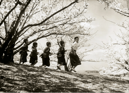 Doramas no Festival de Cinema Japonês