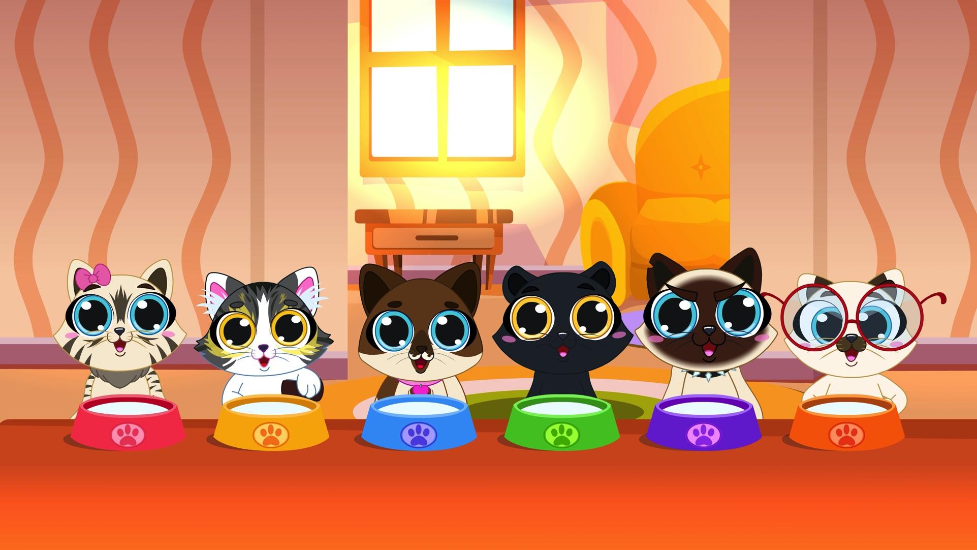 Os 6 Gatinhos inspiram adoção e conscientização