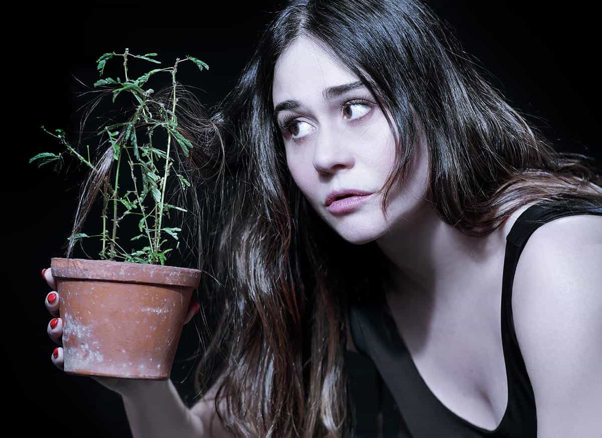 Alessandra Negrini / Priscila Prade