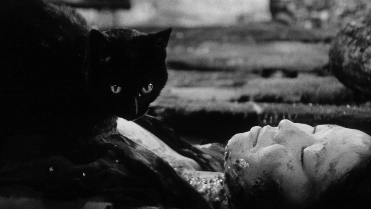 O Gato Preto