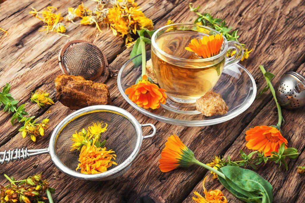 Bebidas caseiras com plantas