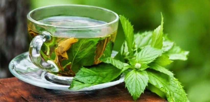 Bebidas caseiras com plantas