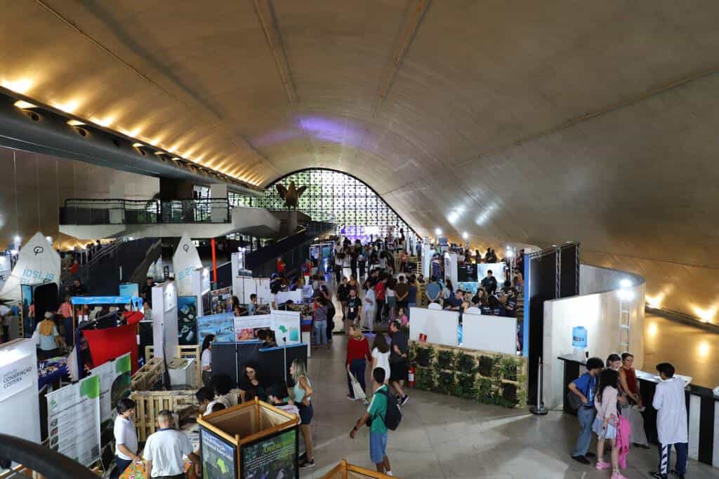 SP Ocean Week 2024 promove a cultura