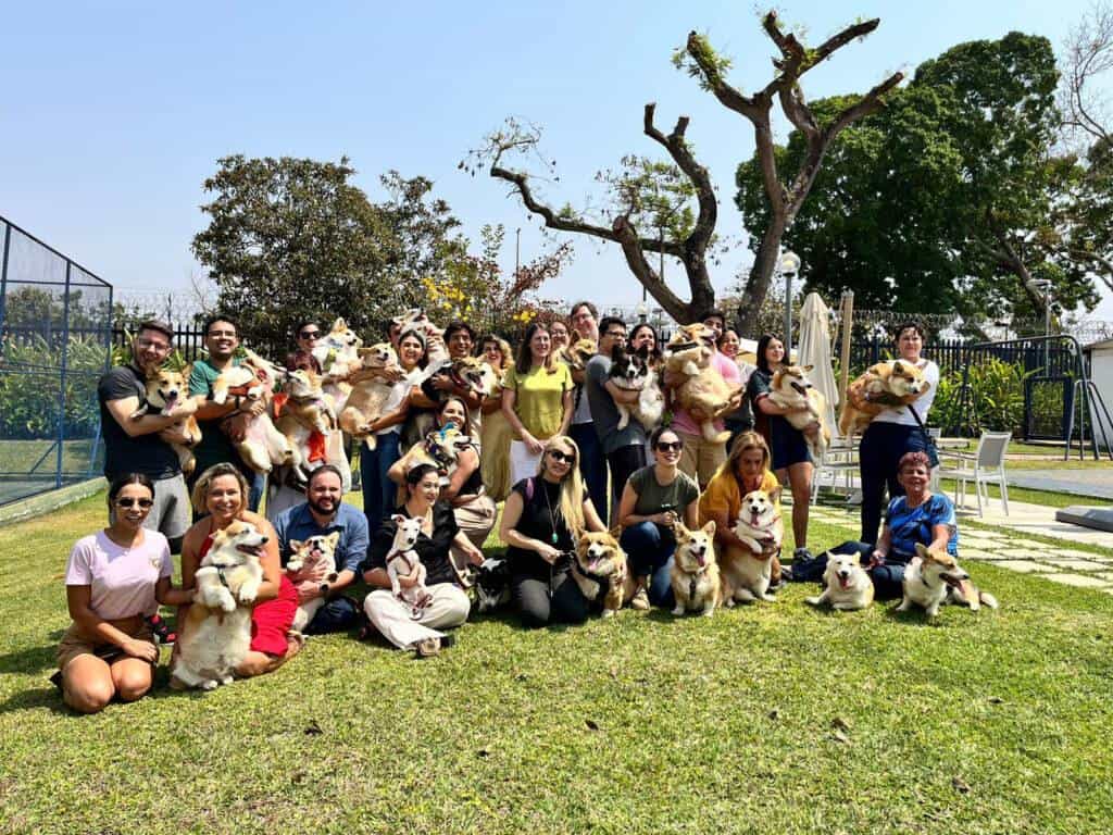 30 Cães da Raça Corgi em Homenagem à Rainha
