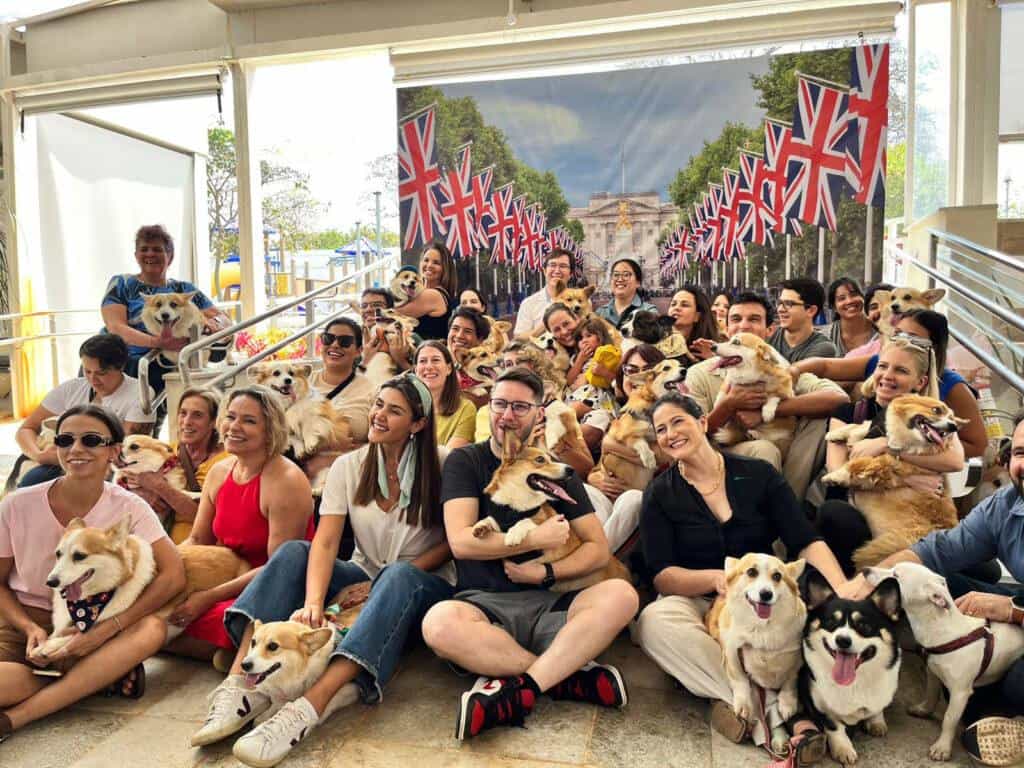 30 Cães da Raça Corgi em Homenagem à Rainha