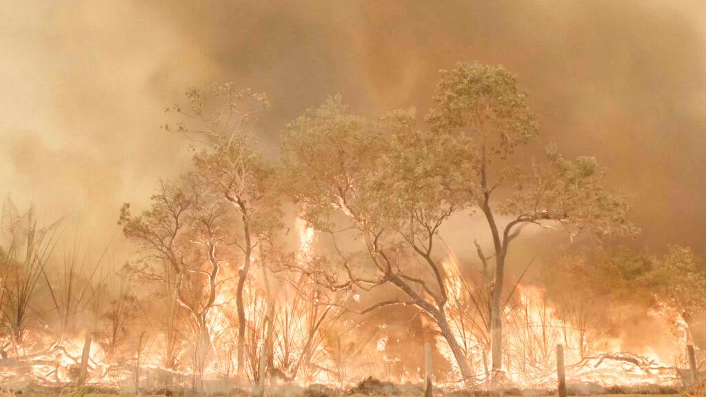 Documentário “Fogo Pantanal Fogo” no bioma