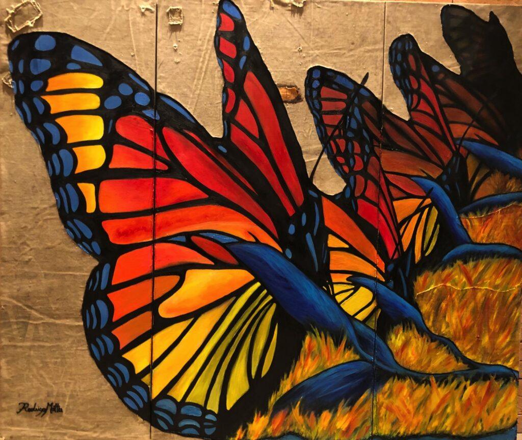 “Uma reflexão sobre paz e sustentabilidade”