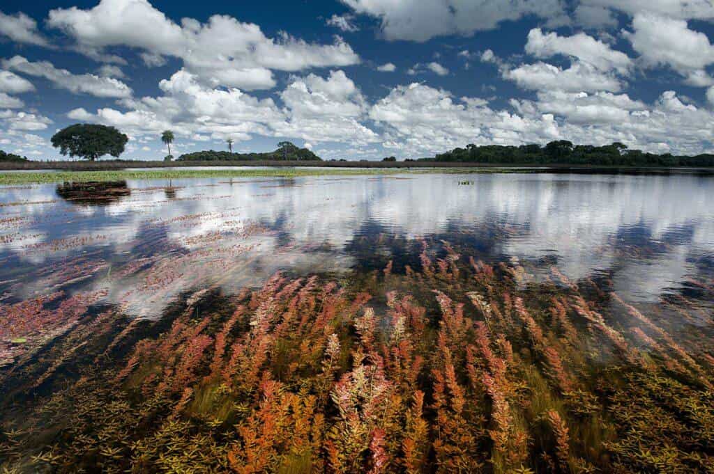 “Mudança Climática: Água Pantanal Fogo”
