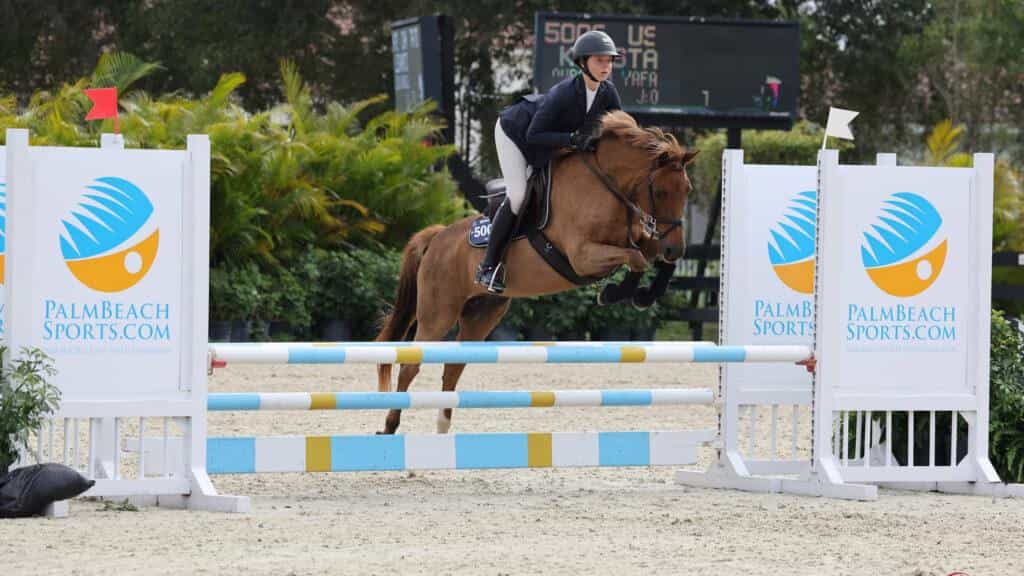 Razões para visitar Palm Beaches em 2025