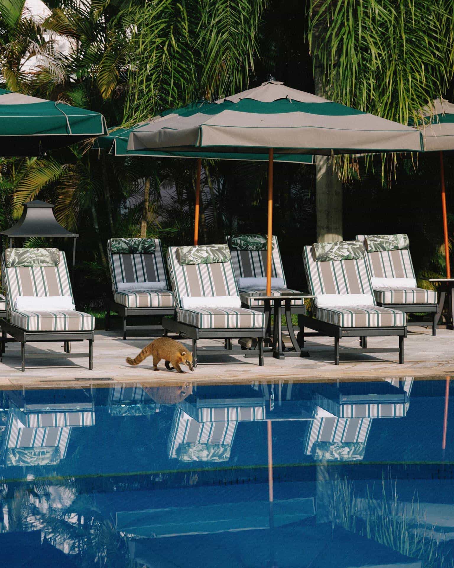 Hotel das Cataratas é eleito o melhor do Brasil