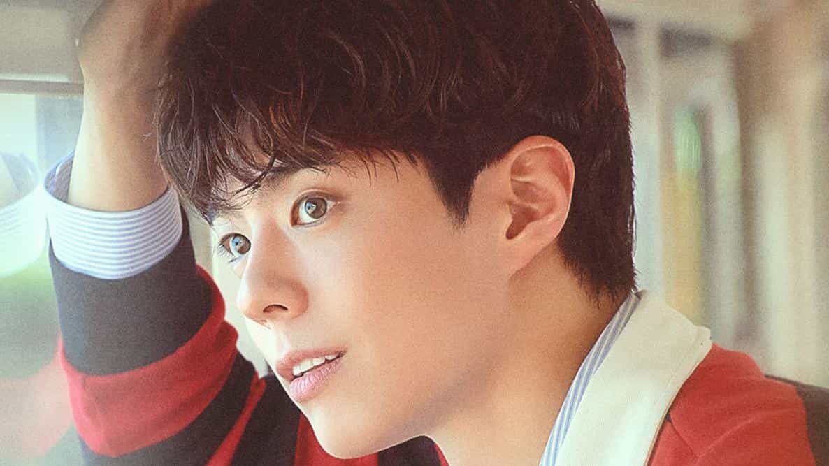 Park Bo Gum, anuncia encontro de fãs no Brasil